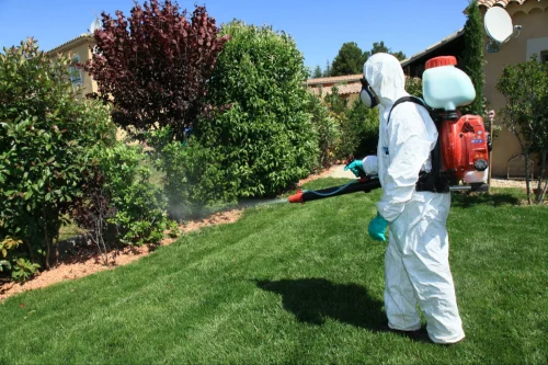 Harlingen Mosquito Control
