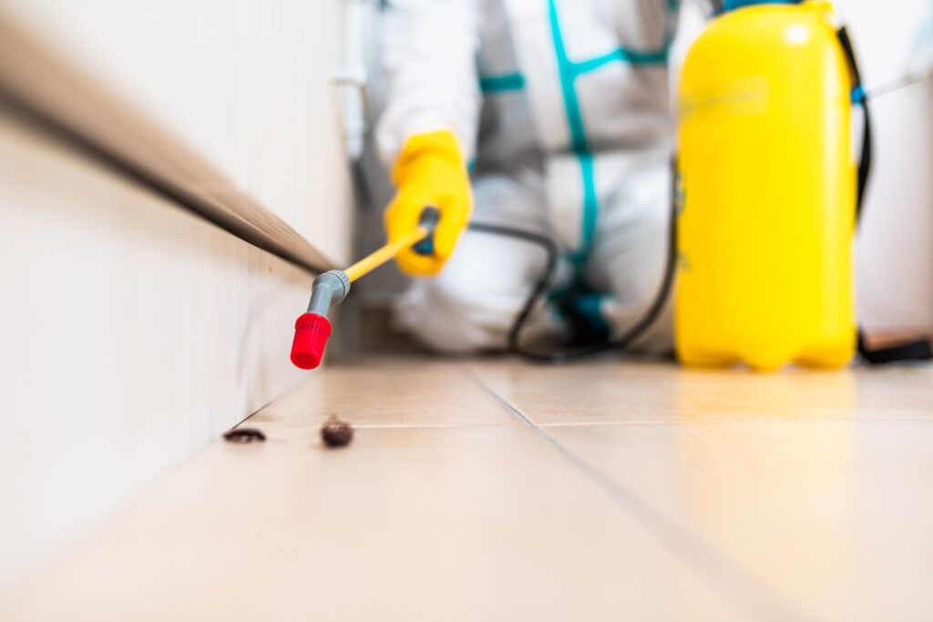 Harlingen Cockroach Experts