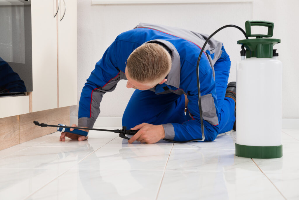 Harlingen Ant Control Xperts