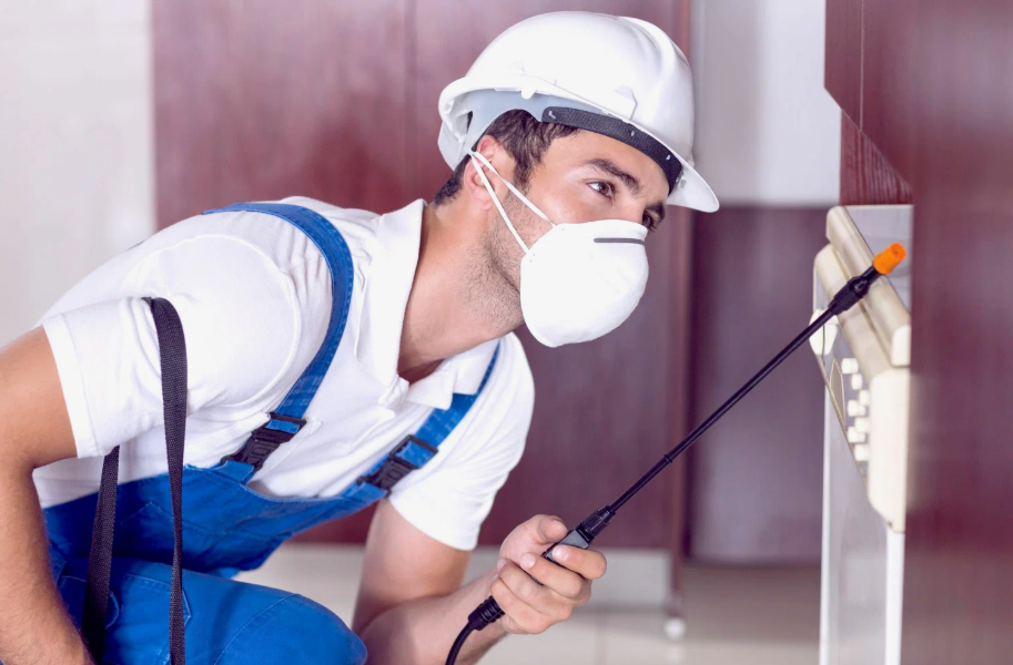 Harlingen local pest services