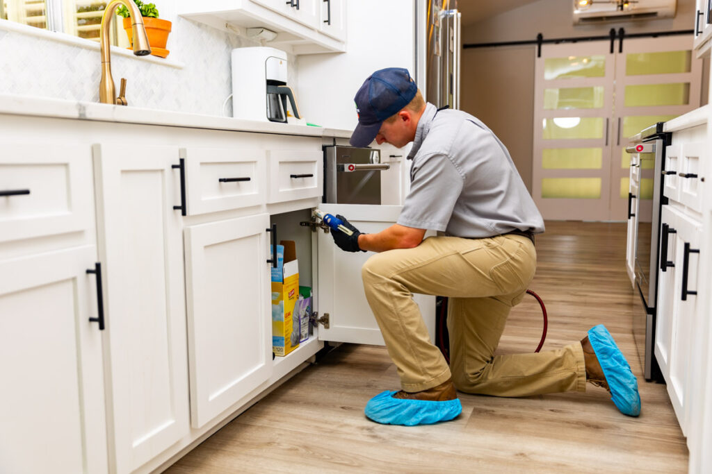 Harlingen xpert pest management